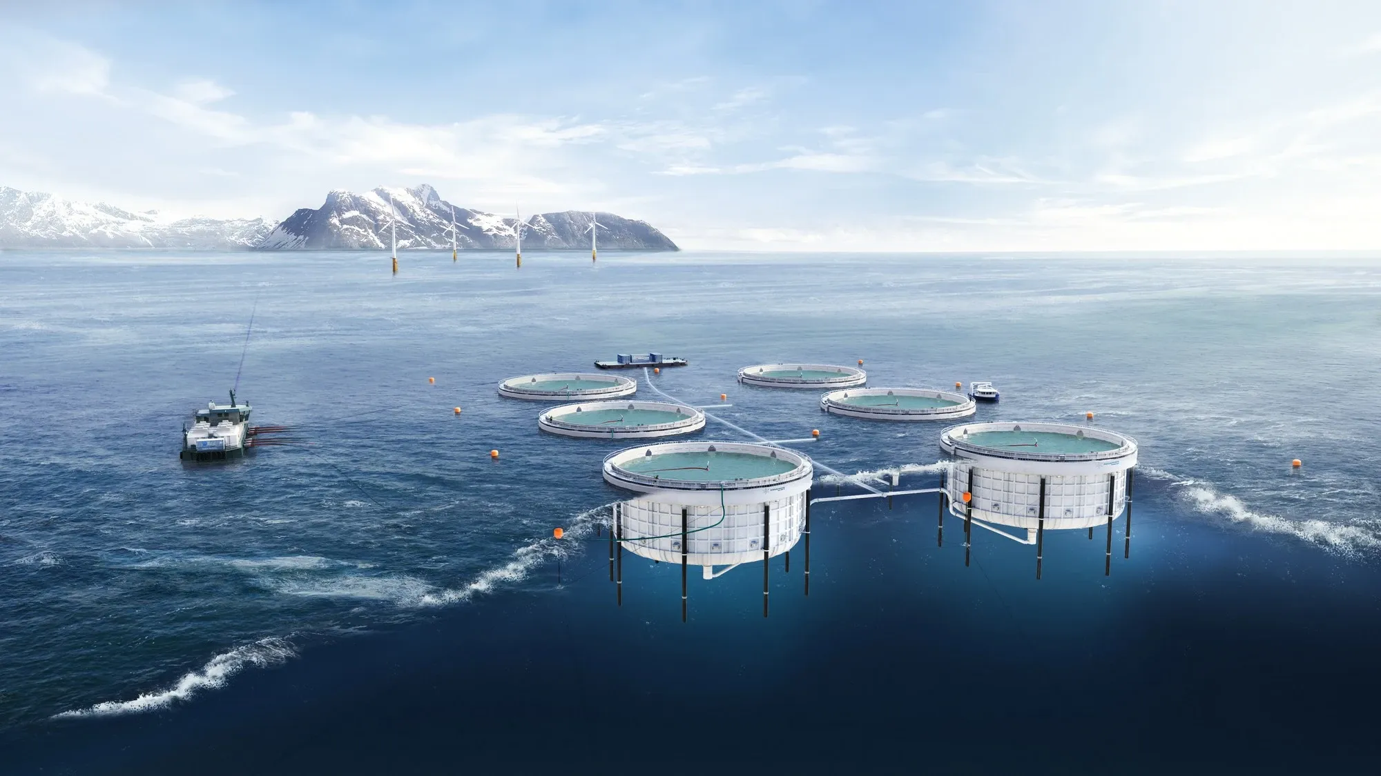 Aquafarm — Closed cage concept