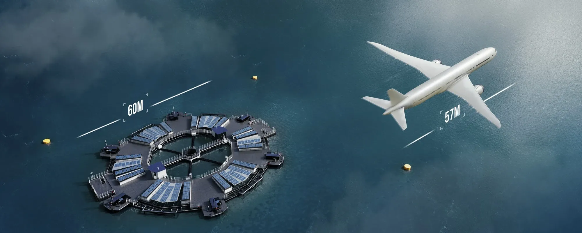 Bluegreen Visions — Marine Donut — the complete picture