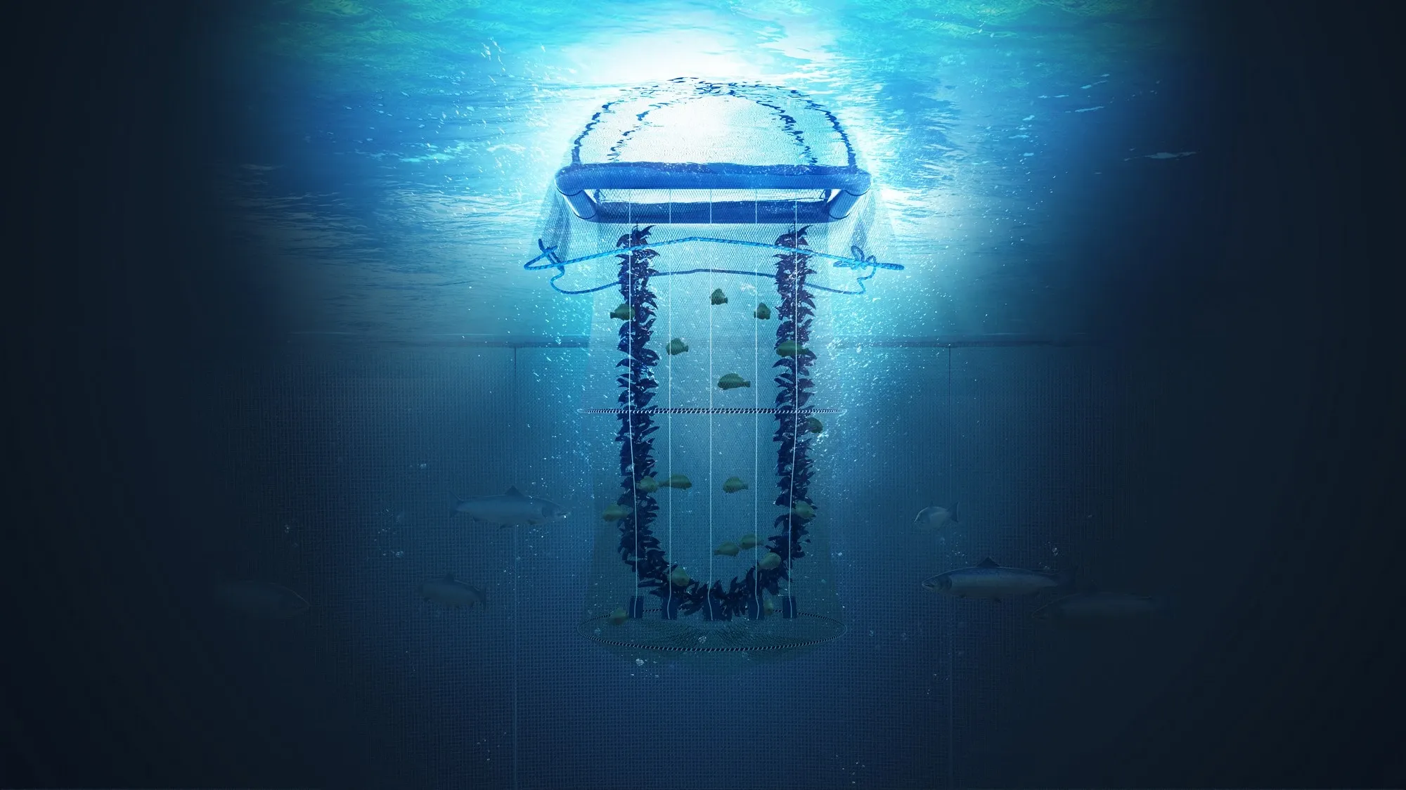 OK Marine — Underwater curtain system