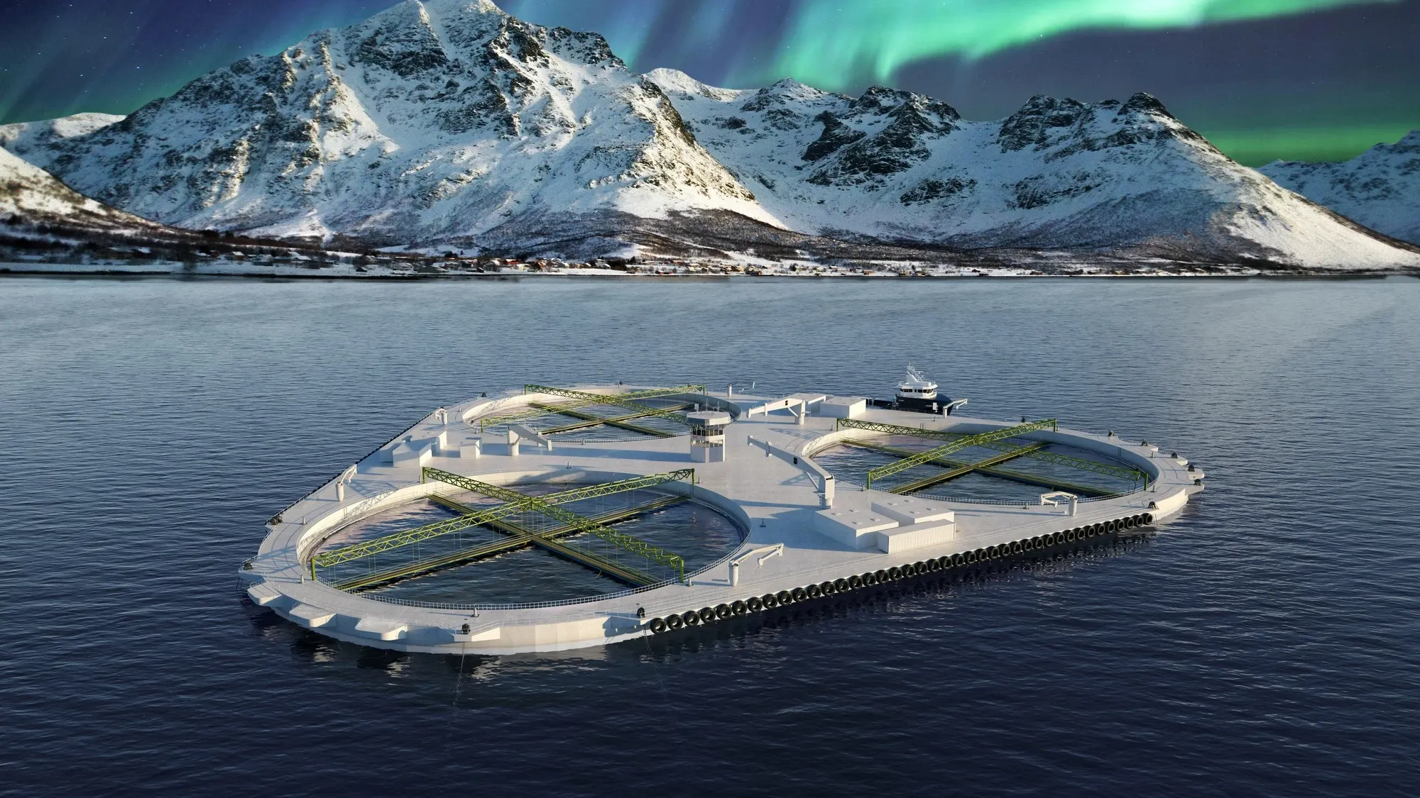 Salaks — Fjordmax concept